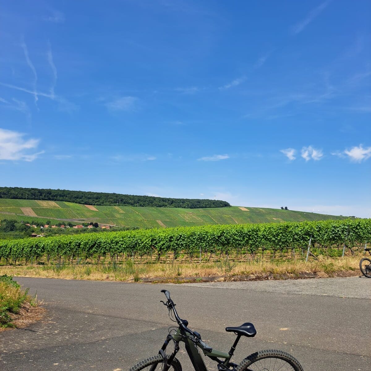 Radreise Bamberg - Aschaffenburg