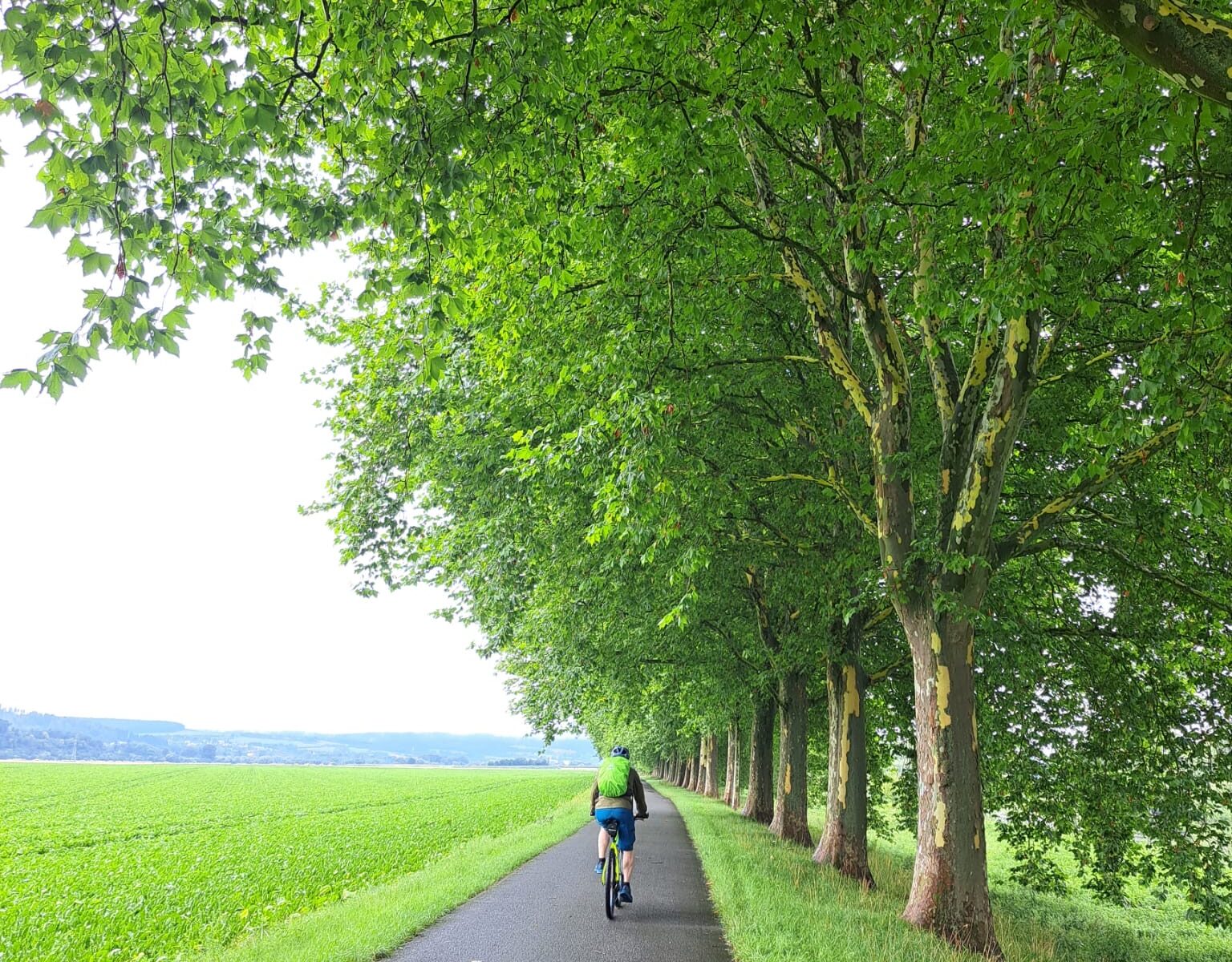 Radreise Weserradweg